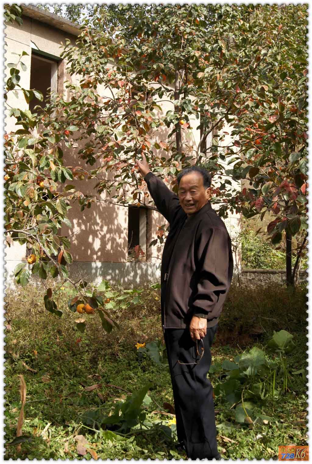 点击在新窗口查看原始图片