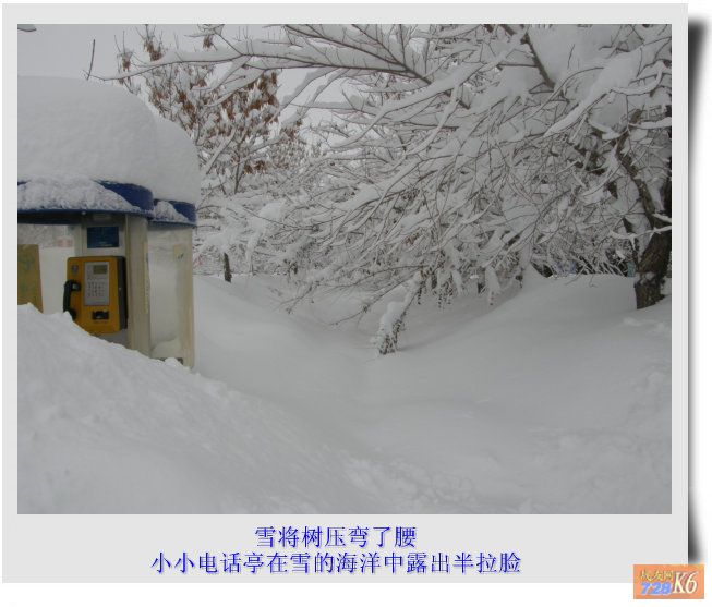 点击在新窗口查看原始图片
