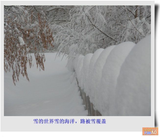 点击在新窗口查看原始图片