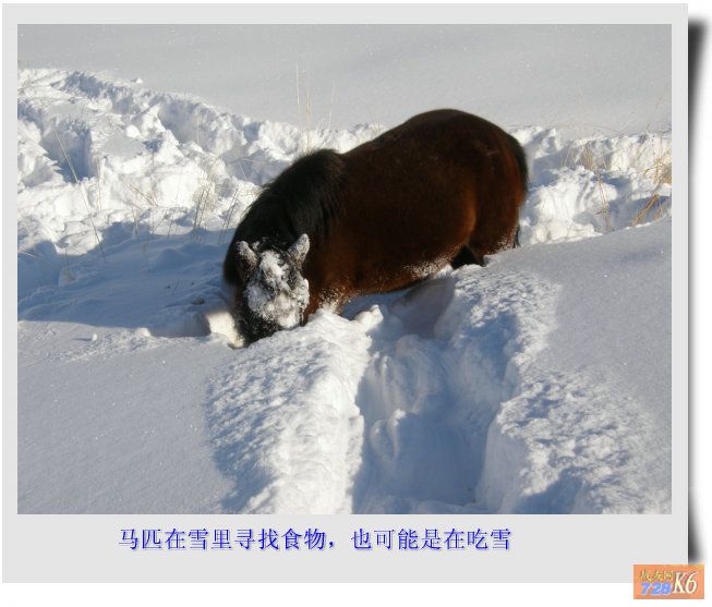 点击在新窗口查看原始图片
