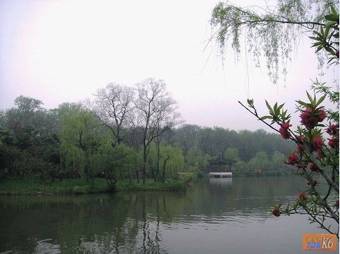 点击在新窗口查看原始图片
