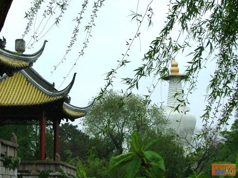点击在新窗口查看原始图片