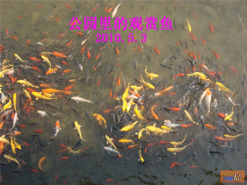 点击在新窗口查看原始图片