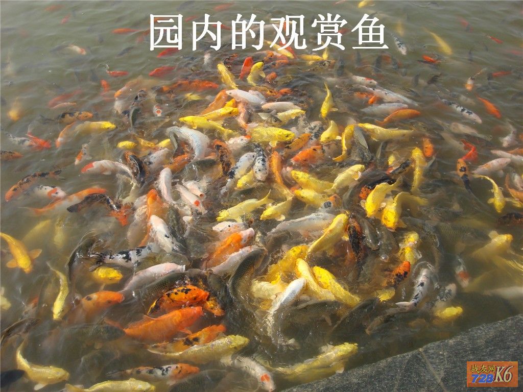 点击在新窗口查看原始图片