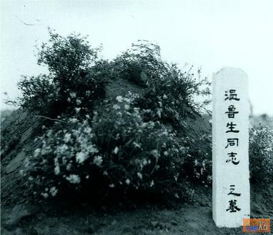 点击在新窗口查看原始图片