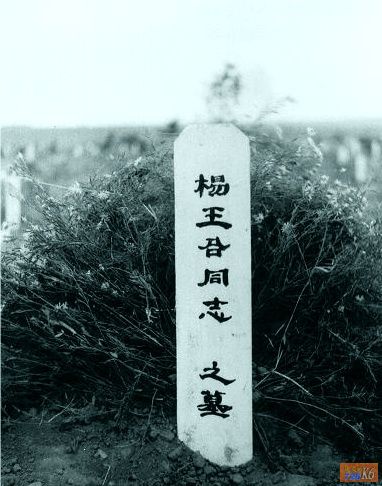 点击在新窗口查看原始图片