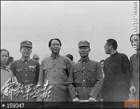 点击在新窗口查看原始图片