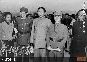 点击在新窗口查看原始图片