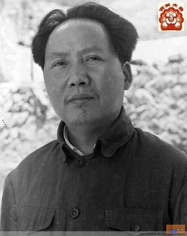 点击在新窗口查看原始图片