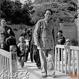 点击在新窗口查看原始图片