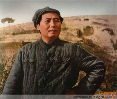 点击在新窗口查看原始图片
