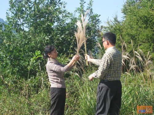 点击在新窗口查看原始图片