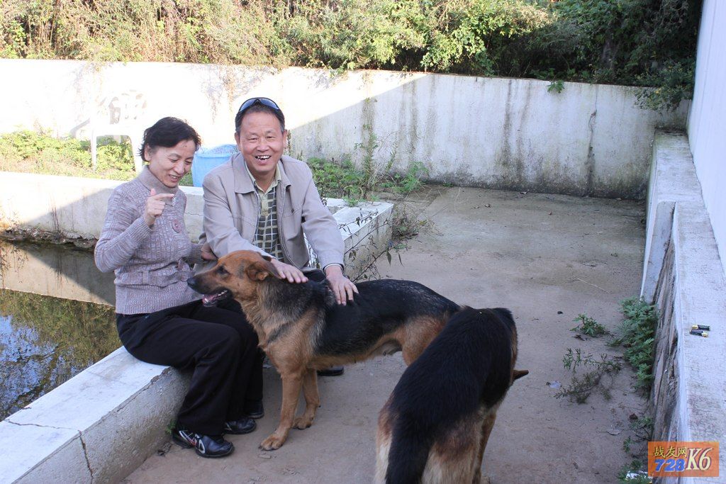点击在新窗口查看原始图片