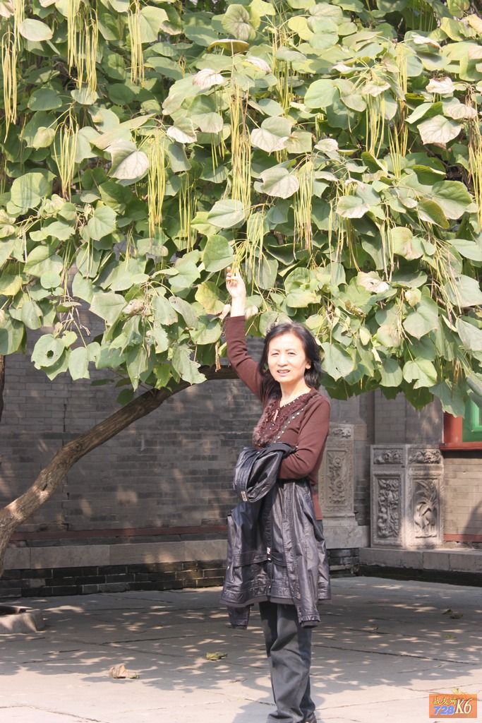 点击在新窗口查看原始图片