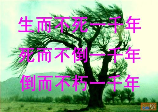 点击在新窗口查看原始图片
