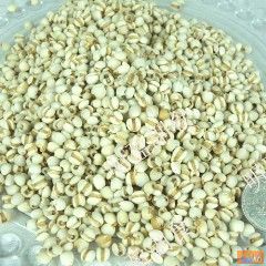 点击在新窗口查看原始图片