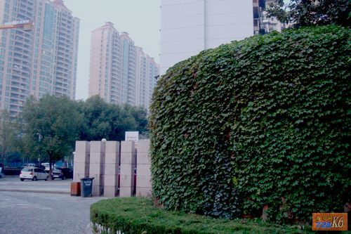 点击在新窗口查看原始图片