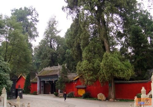 点击在新窗口查看原始图片