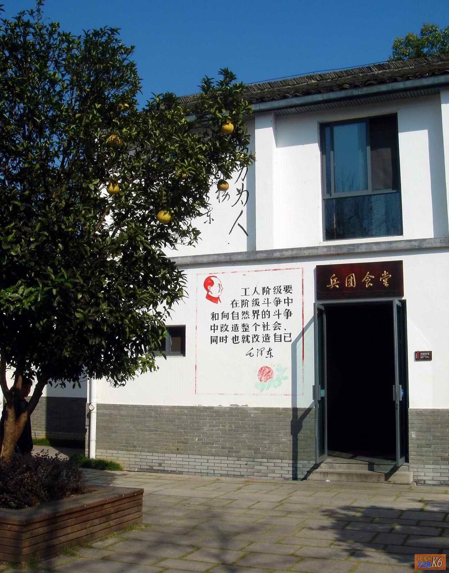 点击在新窗口查看原始图片