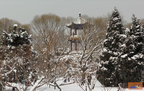 点击在新窗口查看原始图片
