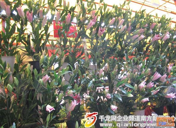 点击在新窗口查看原始图片