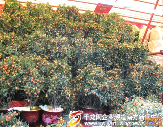 点击在新窗口查看原始图片