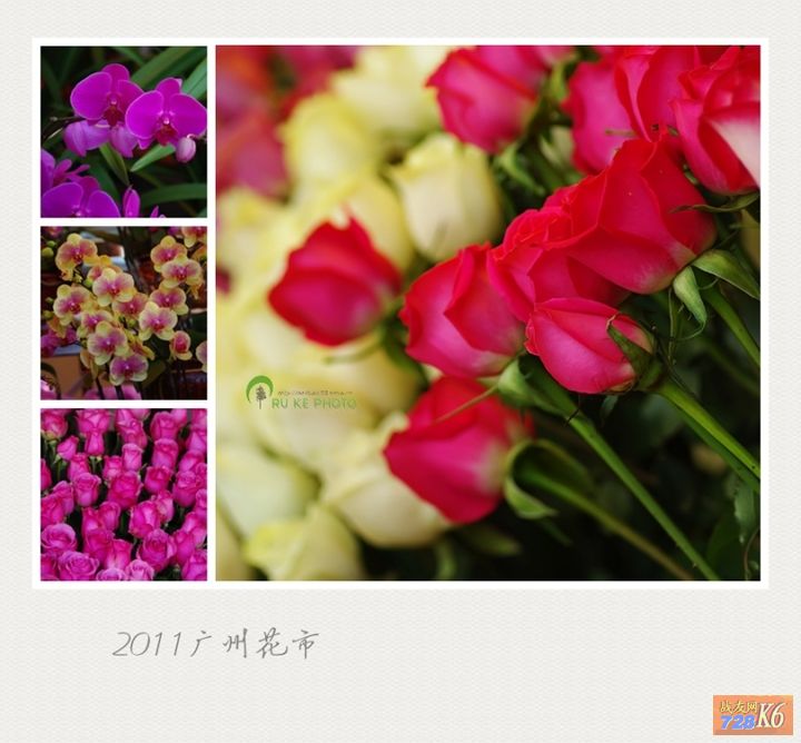 点击在新窗口查看原始图片