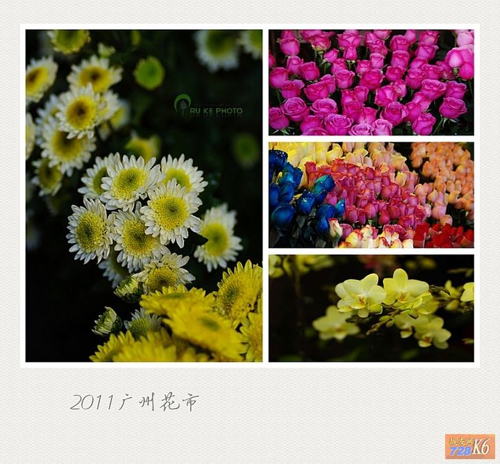 点击在新窗口查看原始图片