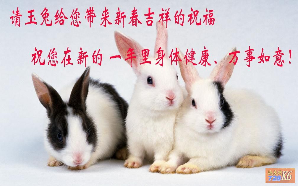 点击在新窗口查看原始图片