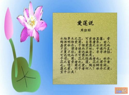 点击在新窗口查看原始图片