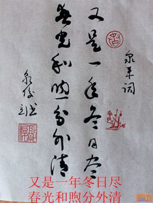 点击在新窗口查看原始图片