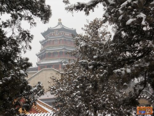 点击在新窗口查看原始图片