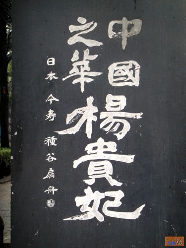 点击在新窗口查看原始图片