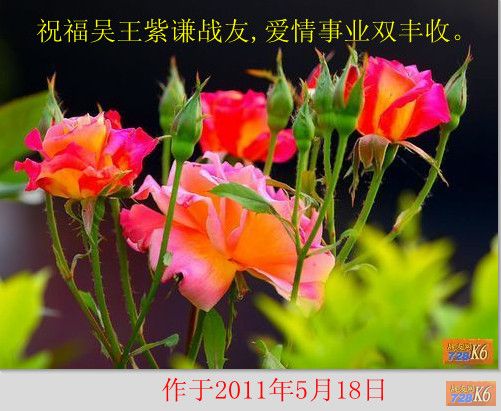 点击在新窗口查看原始图片