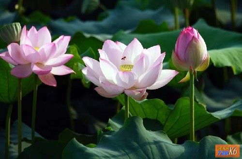 点击在新窗口查看原始图片