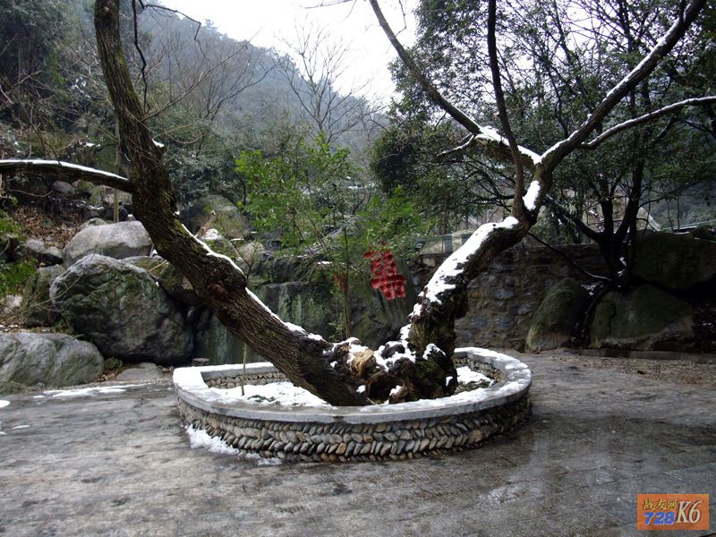 点击在新窗口查看原始图片