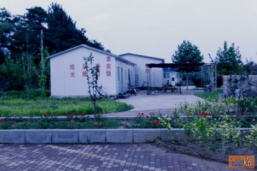 点击在新窗口查看原始图片