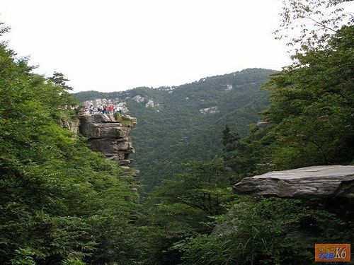 点击在新窗口查看原始图片