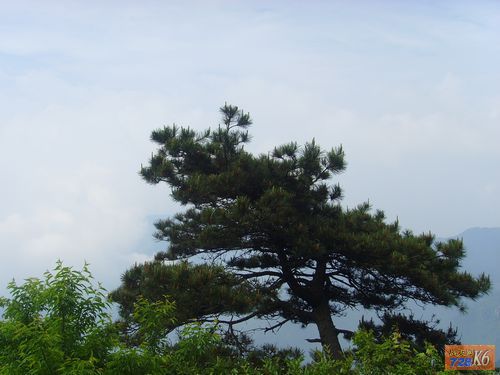 点击在新窗口查看原始图片