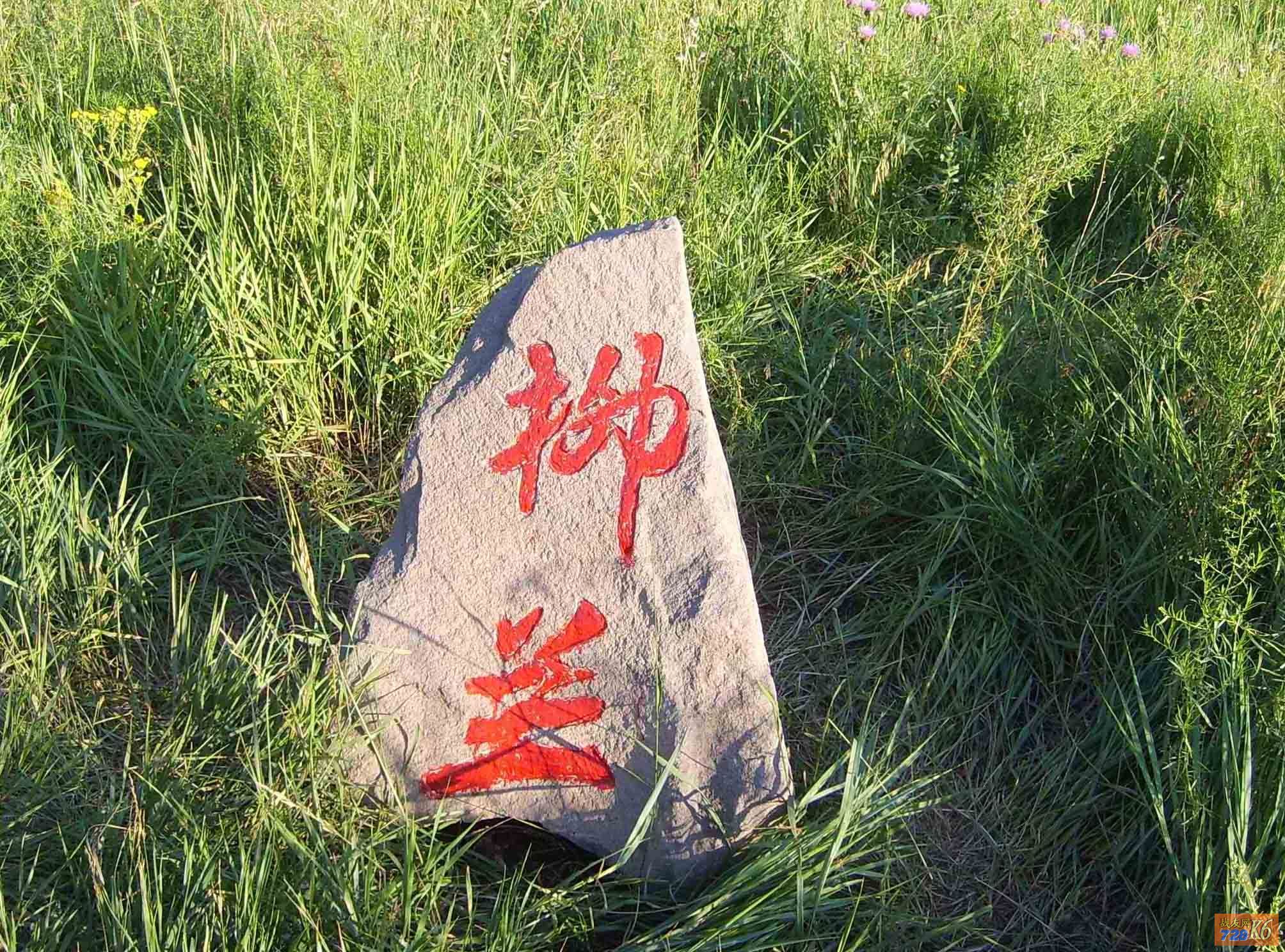 点击在新窗口查看原始图片