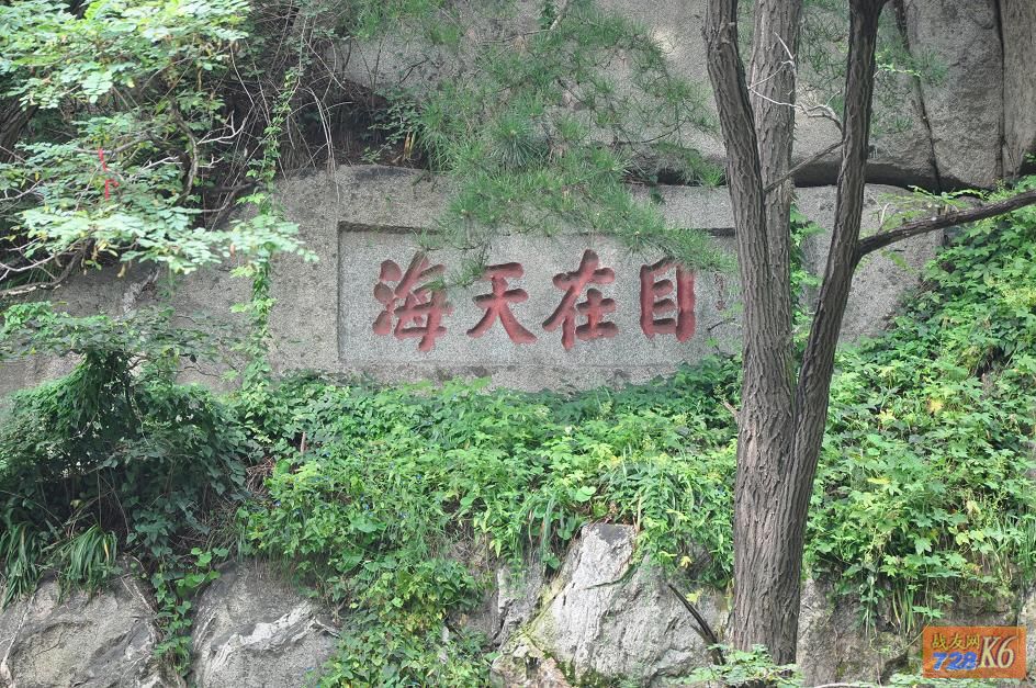 点击在新窗口查看原始图片