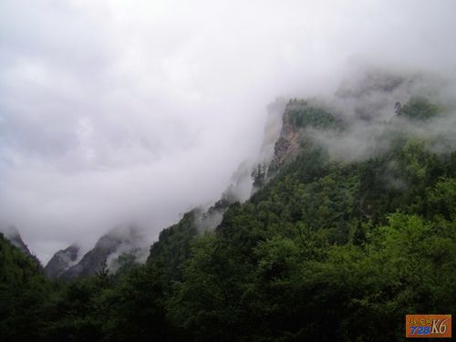 点击在新窗口查看原始图片