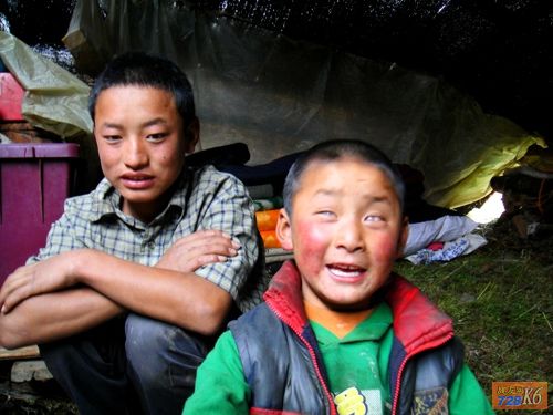 点击在新窗口查看原始图片