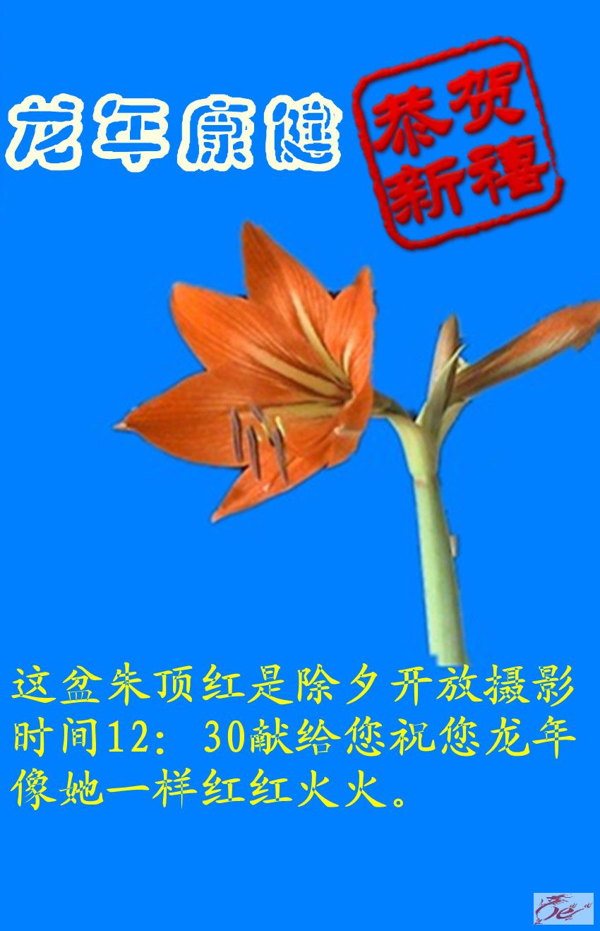 点击在新窗口查看原始图片