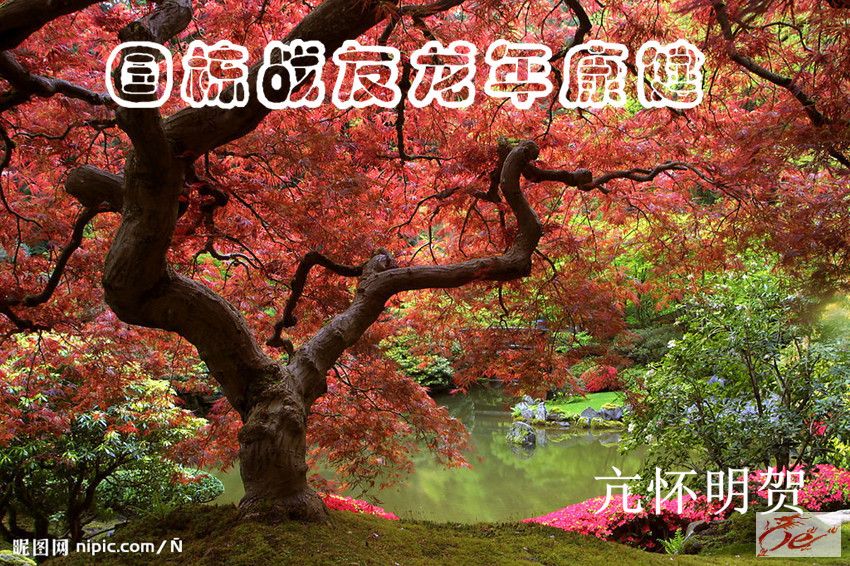 点击在新窗口查看原始图片