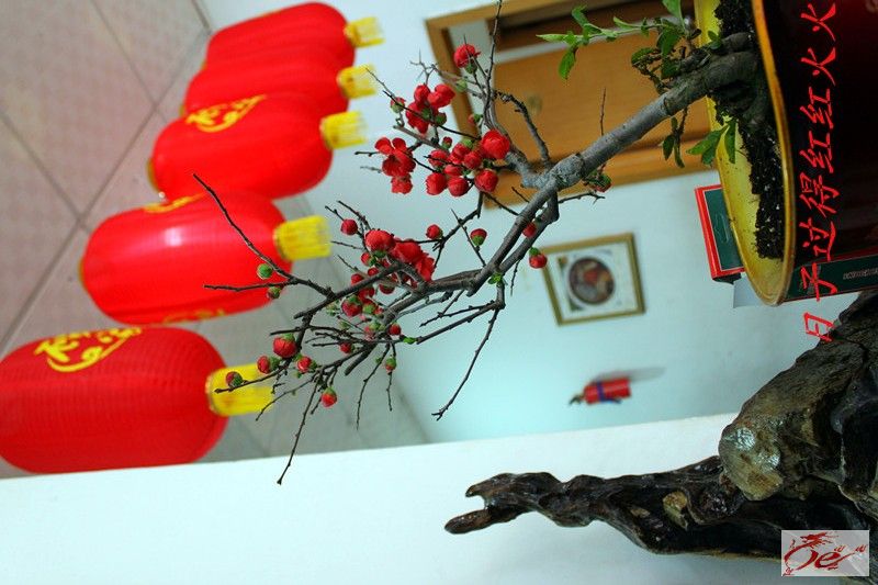 点击在新窗口查看原始图片