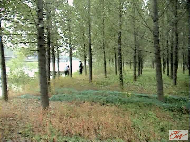 点击在新窗口查看原始图片