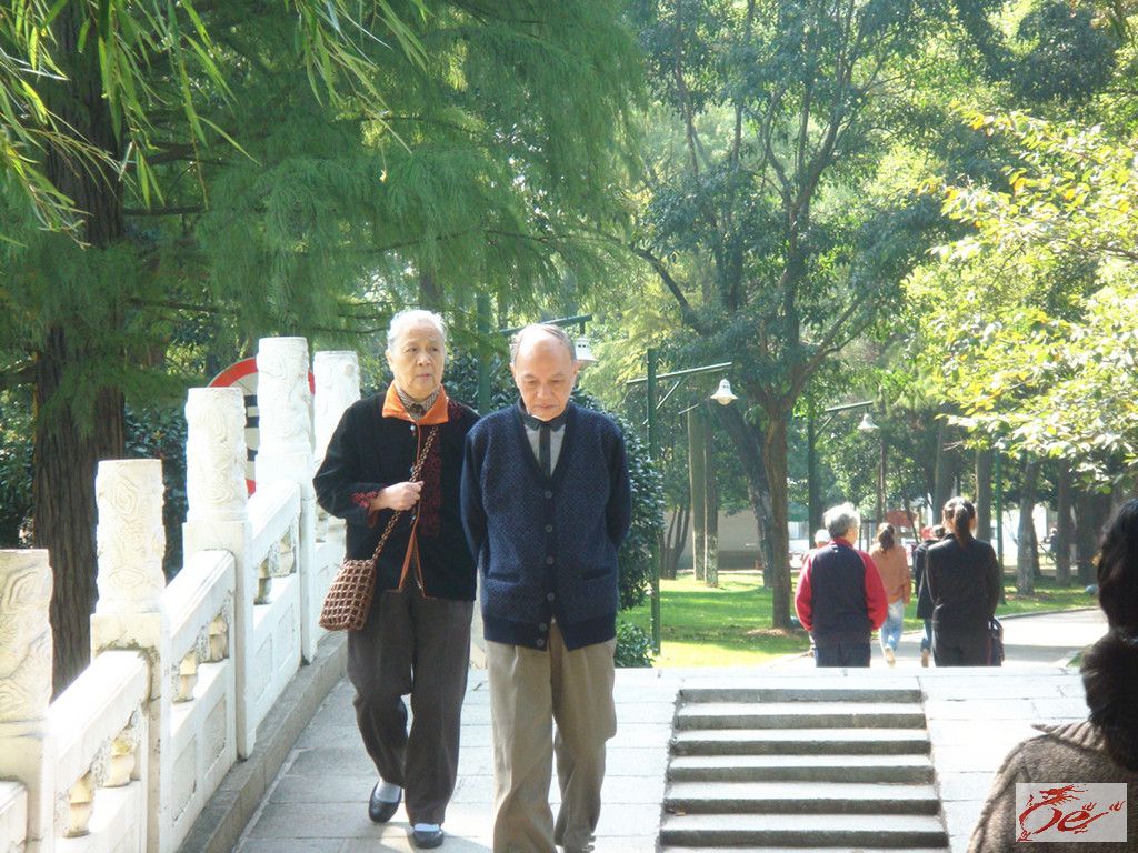 点击在新窗口查看原始图片