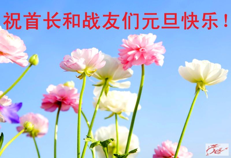 点击在新窗口查看原始图片