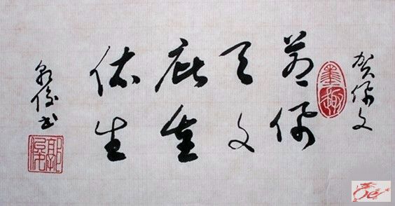 点击在新窗口查看原始图片